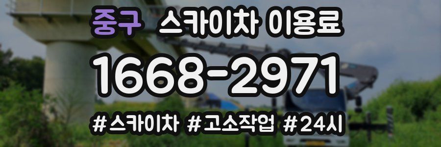 중구 스카이차 이용료