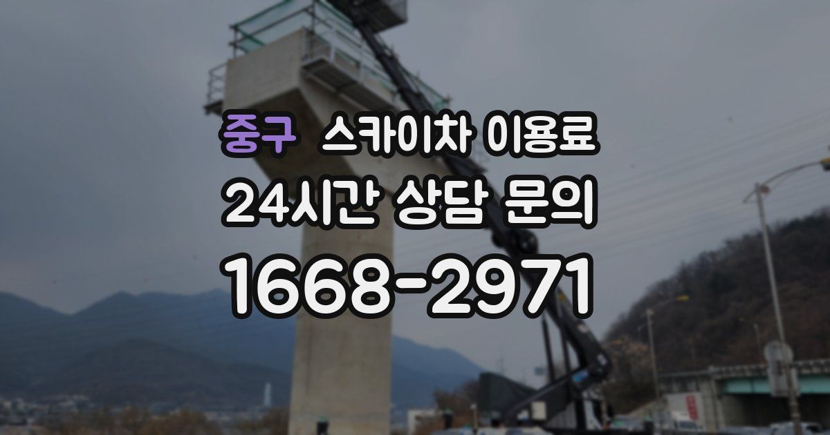 중구 스카이차 이용료