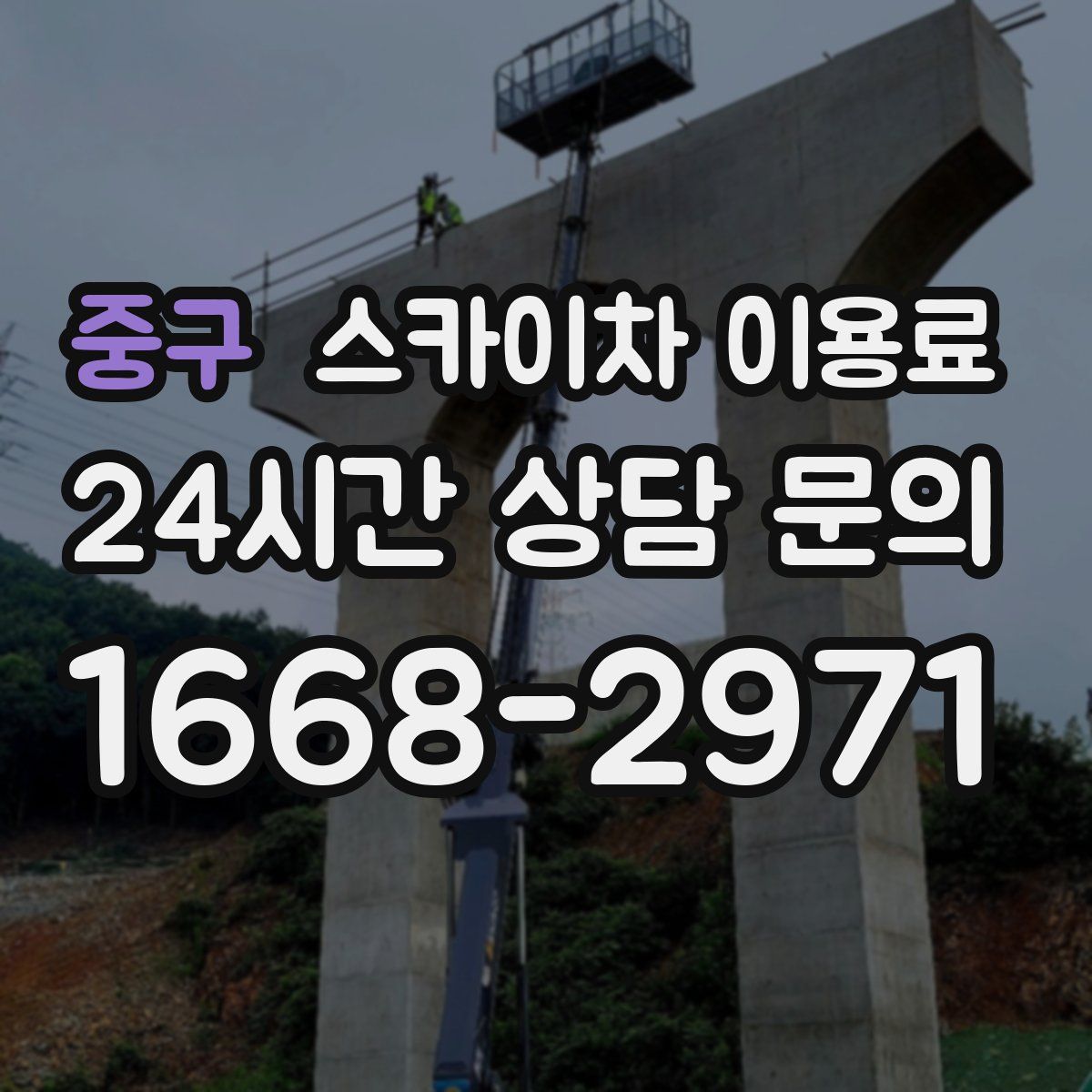 중구 스카이차 이용료