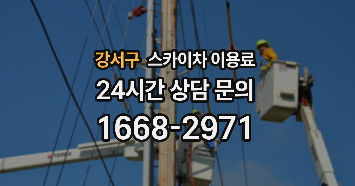 강서구 스카이차 이용료