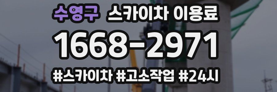 수영구 스카이차 이용료
