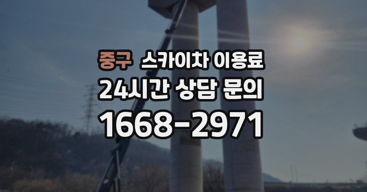 중구 스카이차 이용료