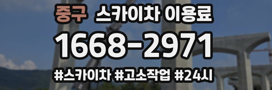 중구 스카이차 이용료