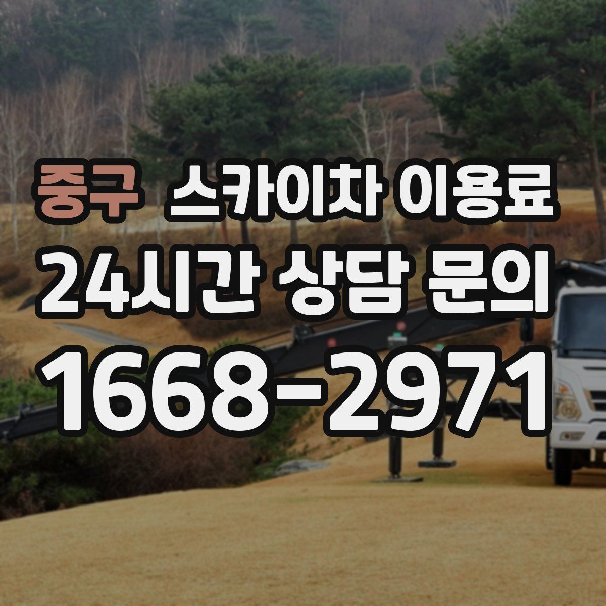 중구 스카이차 이용료