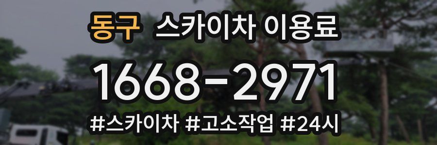 동구 스카이차 이용료
