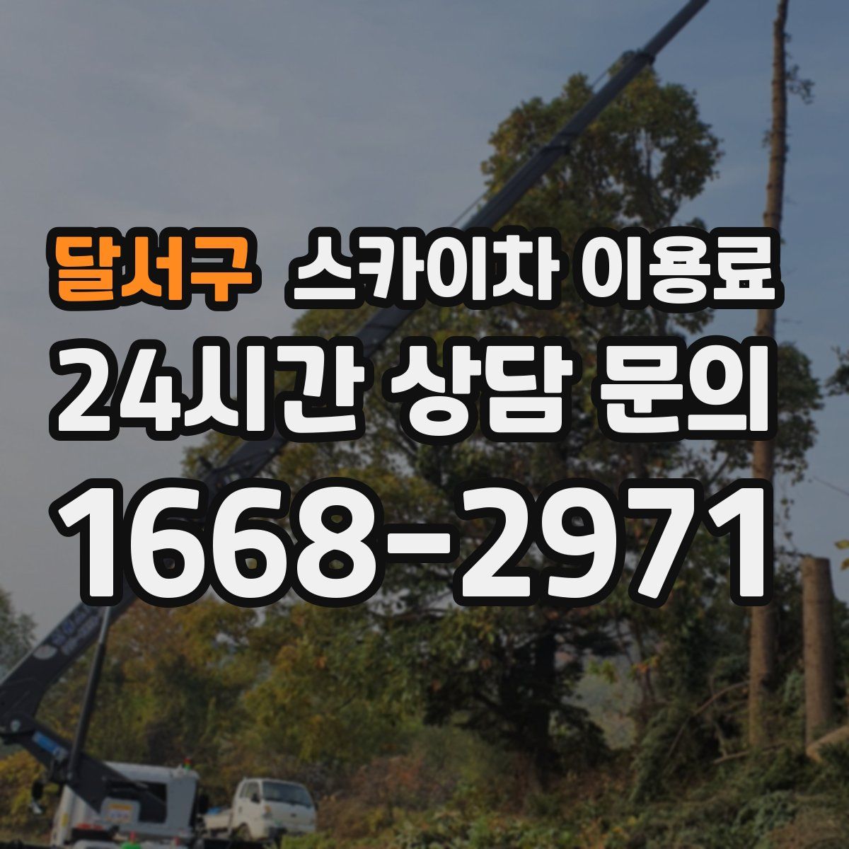 달서구 스카이차 이용료