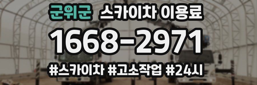 군위군 스카이차 이용료