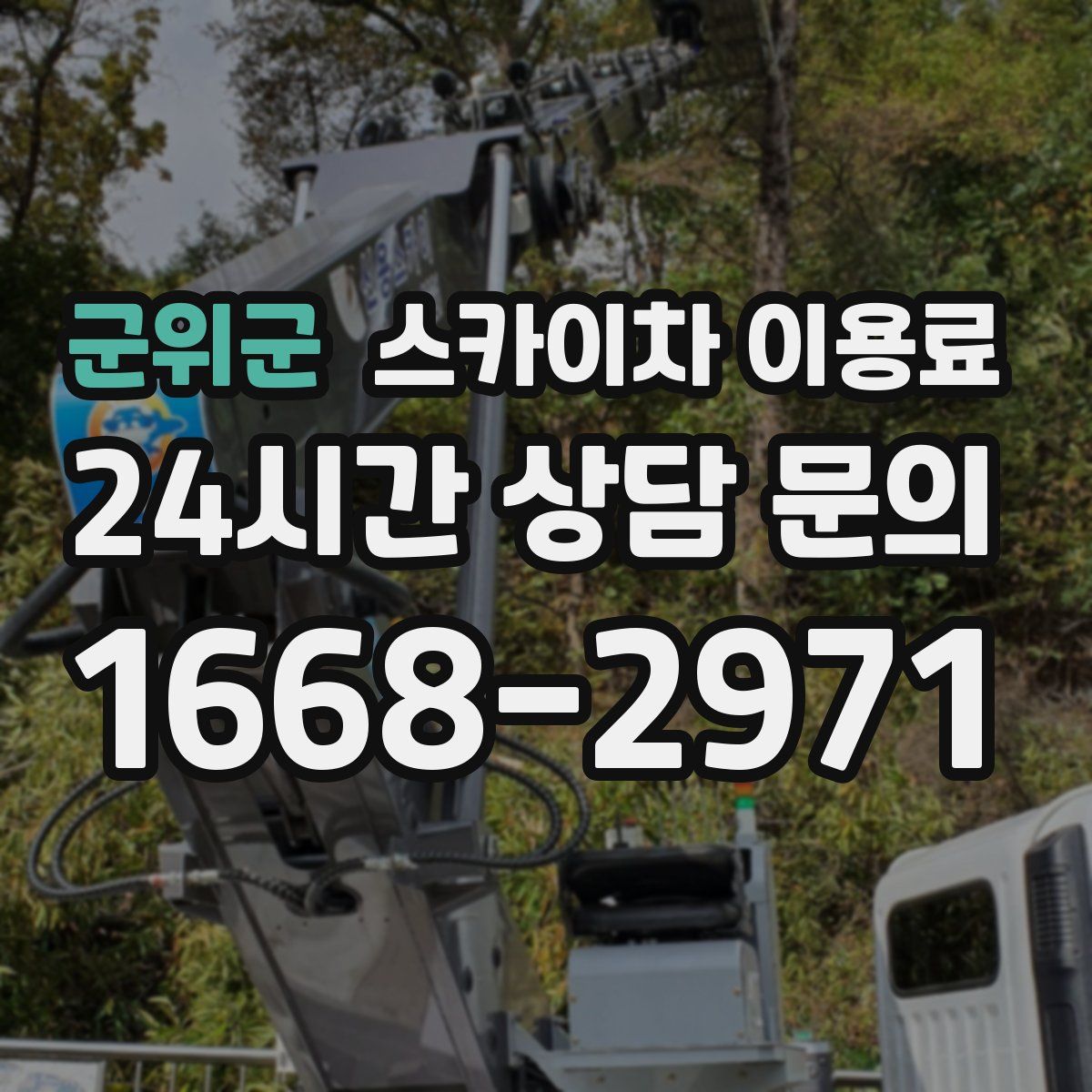 군위군 스카이차 이용료
