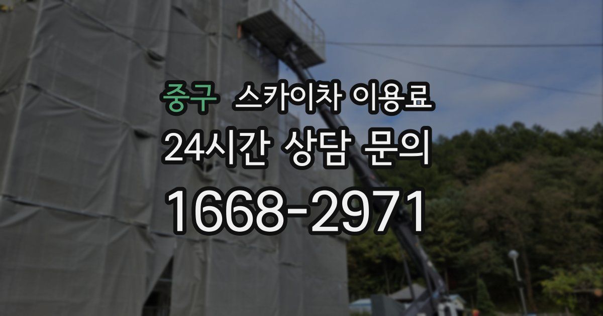 중구 스카이차 이용료