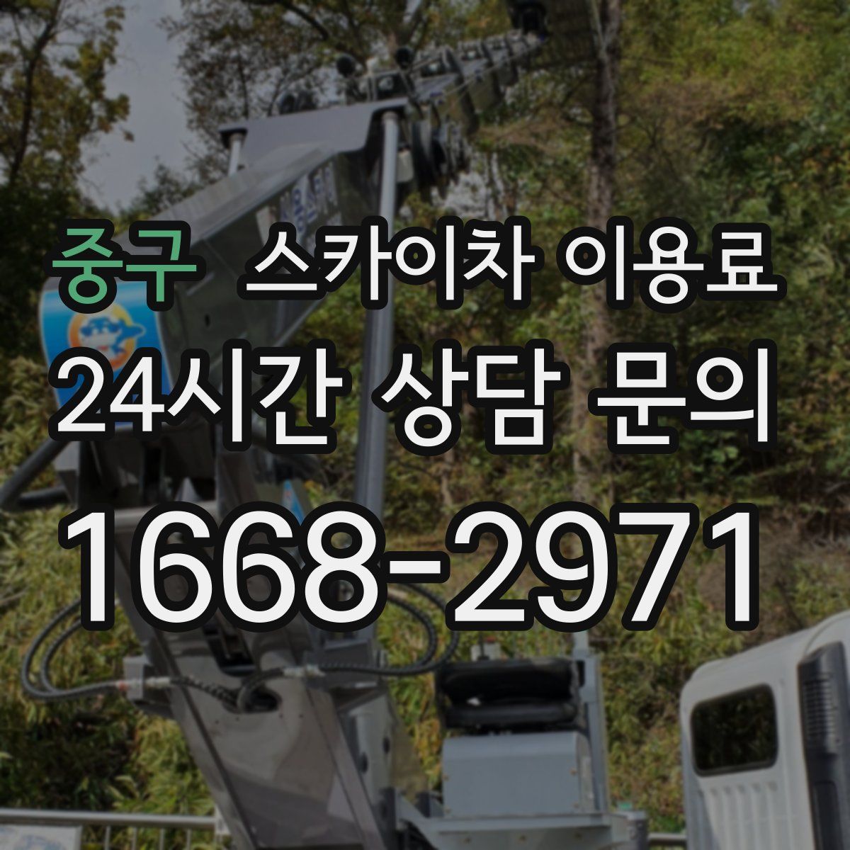 중구 스카이차 이용료