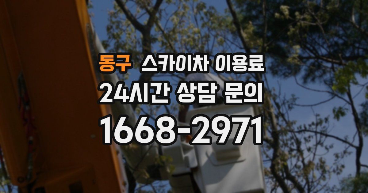 동구 스카이차 이용료