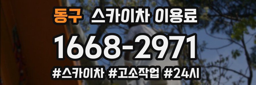 동구 스카이차 이용료
