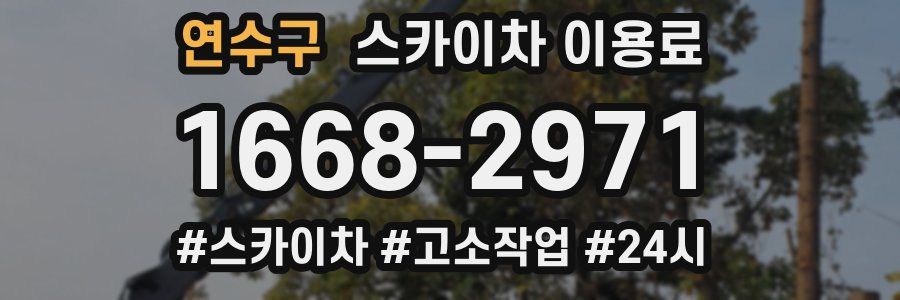 연수구 스카이차 이용료