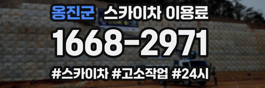 옹진군 스카이차 이용료