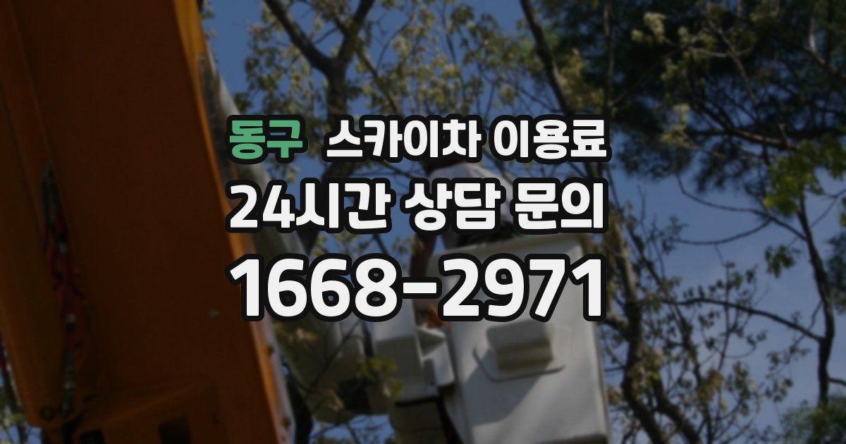 동구 스카이차 이용료