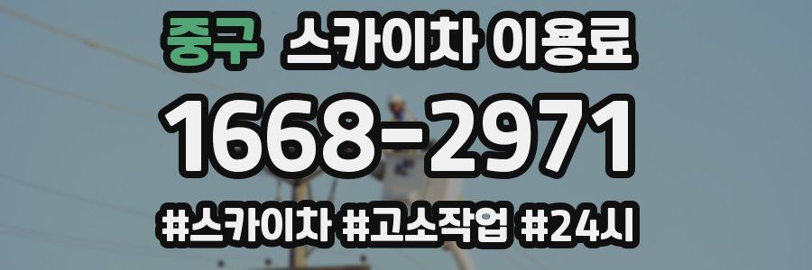 중구 스카이차 이용료