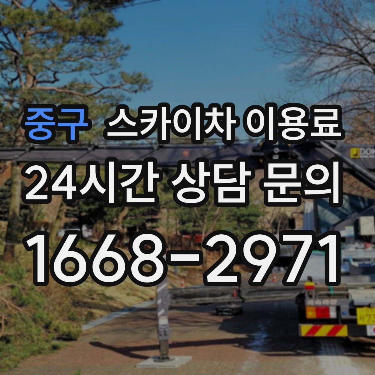 중구 스카이차 이용료
