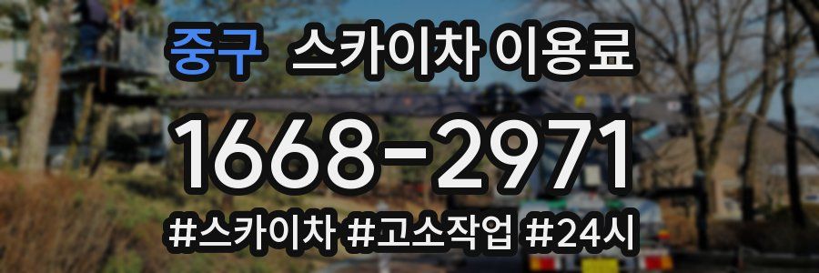 중구 스카이차 이용료