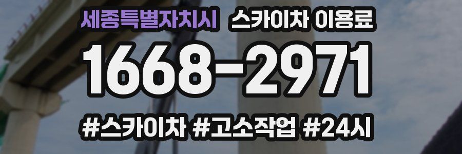 세종특별자치시 스카이차 이용료