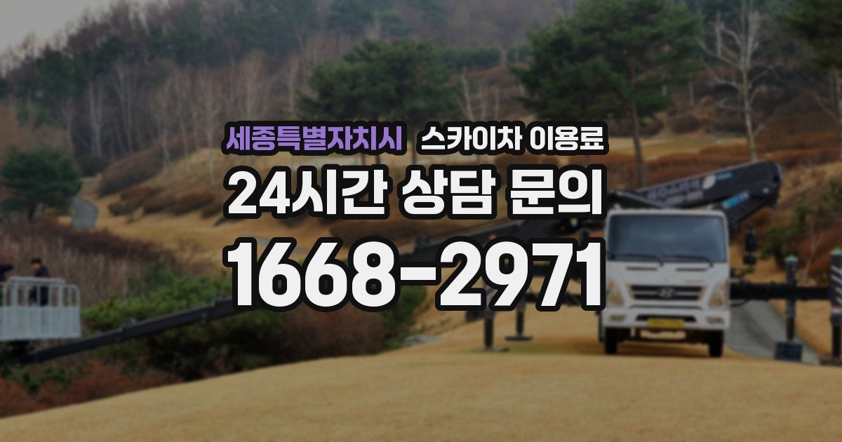 세종특별자치시 스카이차 이용료