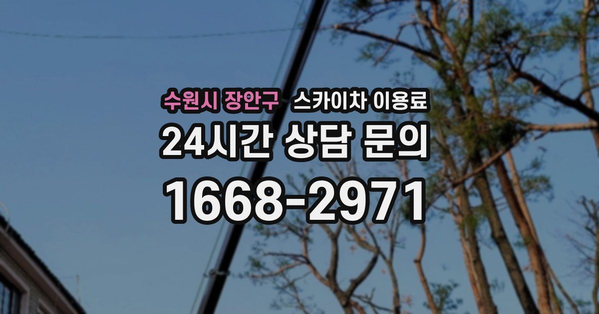 수원시 장안구 스카이차 이용료