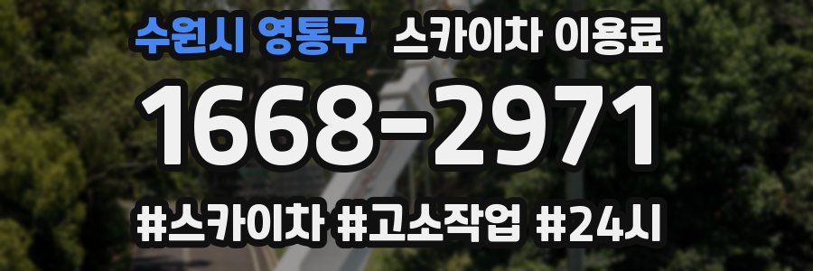 수원시 영통구 스카이차 이용료