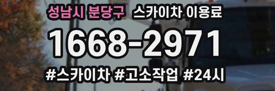 성남시 분당구 스카이차 이용료