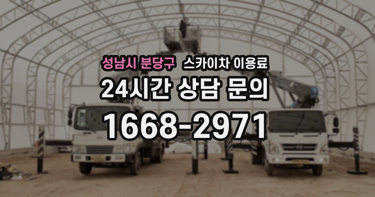 성남시 분당구 스카이차 이용료