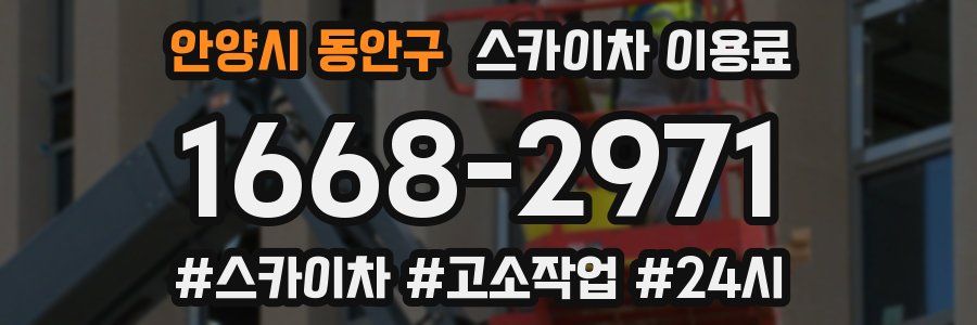 안양시 동안구 스카이차 이용료