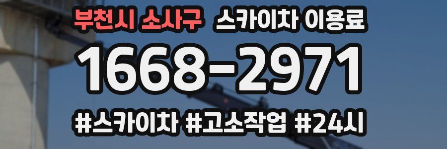 부천시 소사구 스카이차 이용료