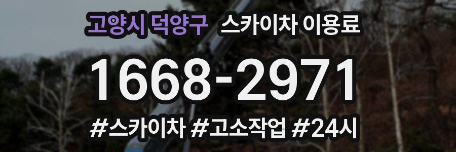 고양시 덕양구 스카이차 이용료