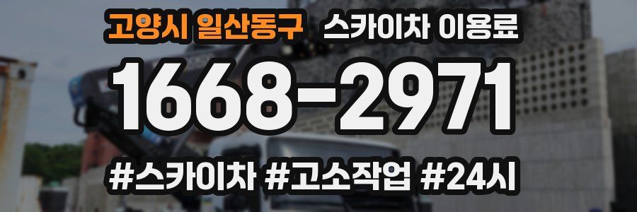 고양시 일산동구 스카이차 이용료