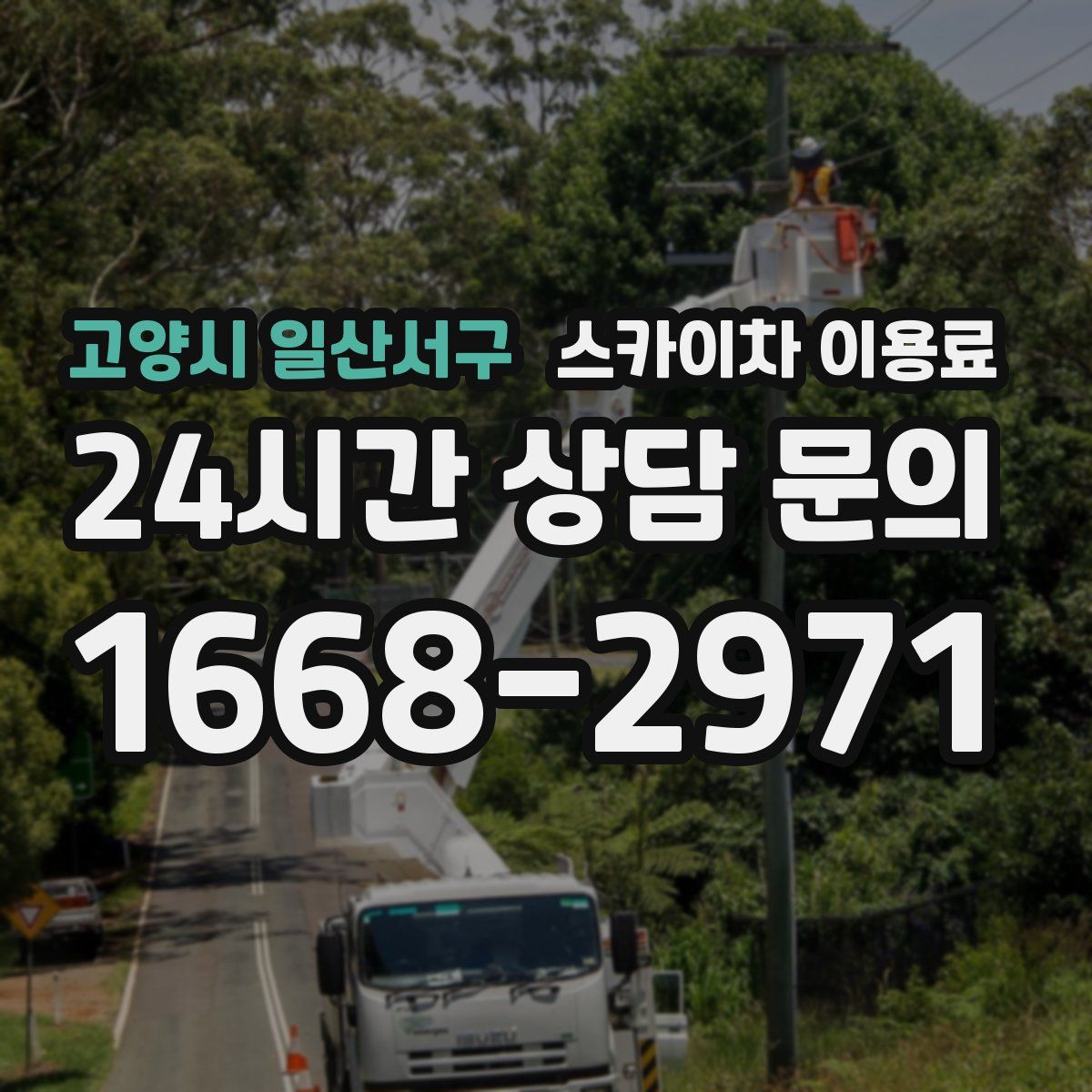 고양시 일산서구 스카이차 이용료