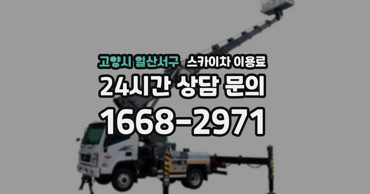 고양시 일산서구 스카이차 이용료