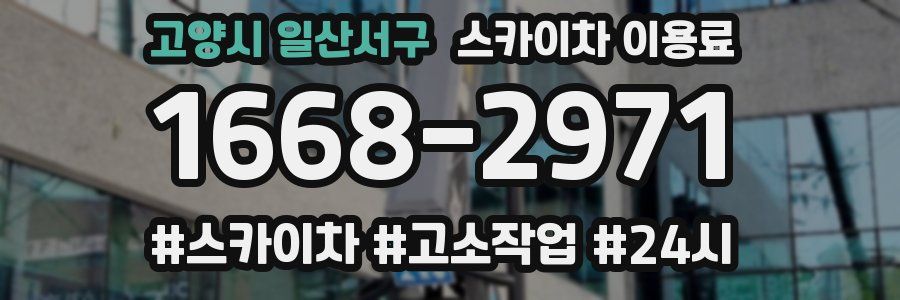 고양시 일산서구 스카이차 이용료