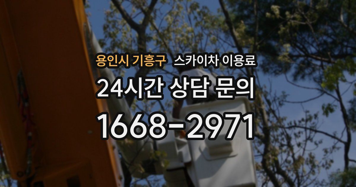 용인시 기흥구 스카이차 이용료