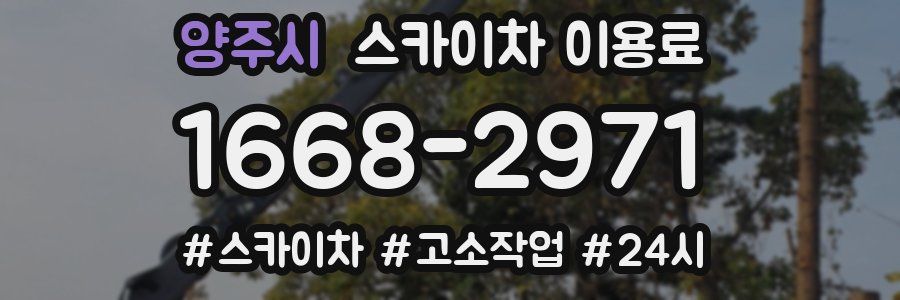 양주시 스카이차 이용료