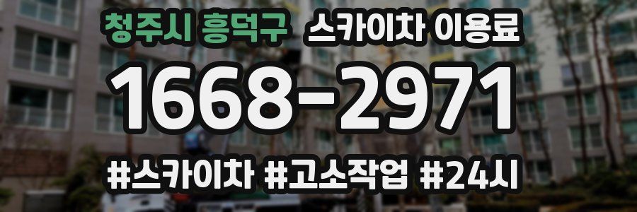청주시 흥덕구 스카이차 이용료