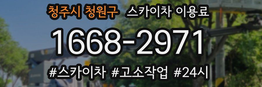 청주시 청원구 스카이차 이용료
