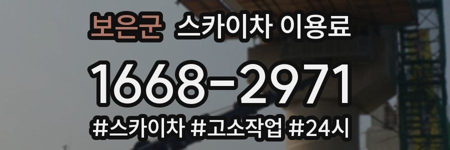 보은군 스카이차 이용료