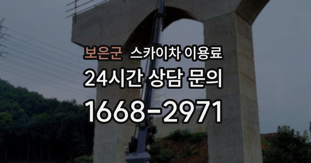 보은군 스카이차 이용료