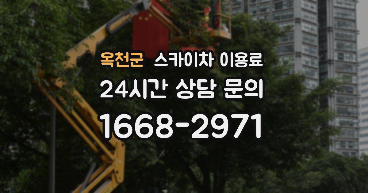 옥천군 스카이차 이용료