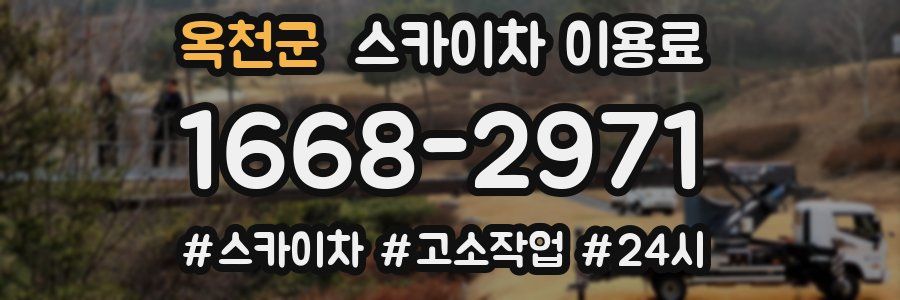 옥천군 스카이차 이용료