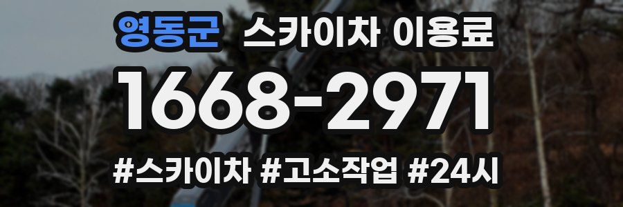 영동군 스카이차 이용료