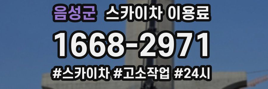 음성군 스카이차 이용료