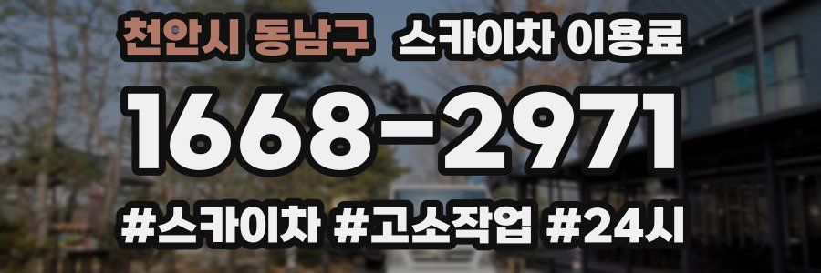 천안시 동남구 스카이차 이용료