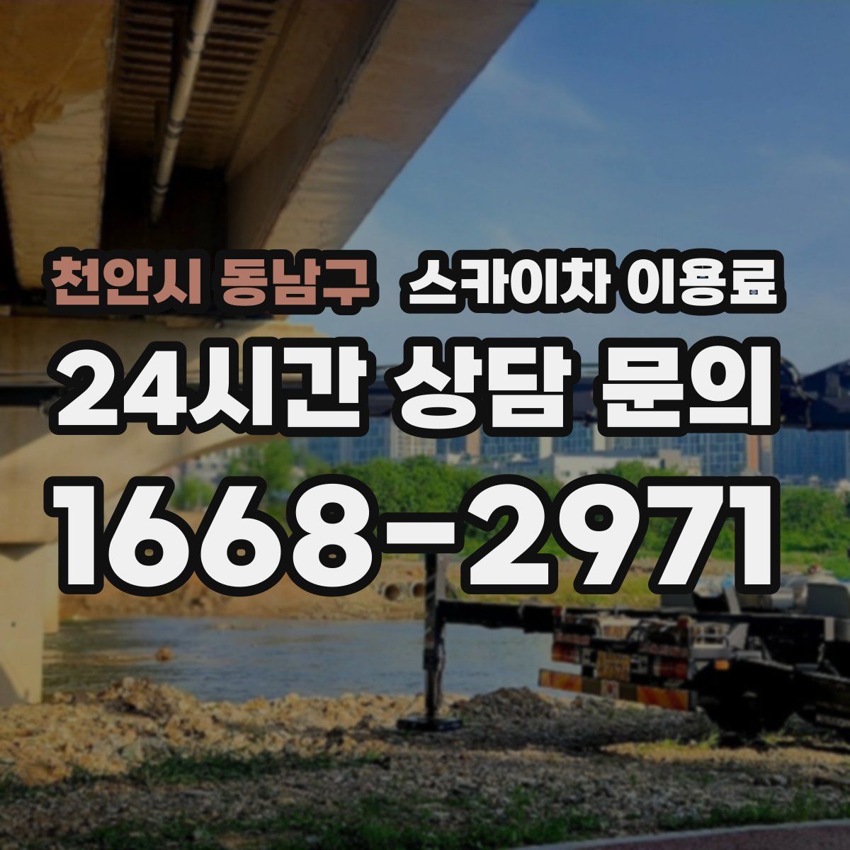 천안시 동남구 스카이차 이용료