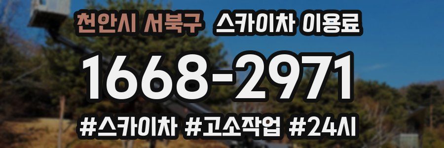 천안시 서북구 스카이차 이용료