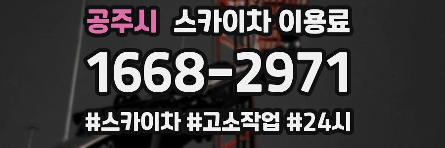 공주시 스카이차 이용료