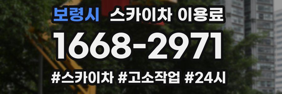 보령시 스카이차 이용료